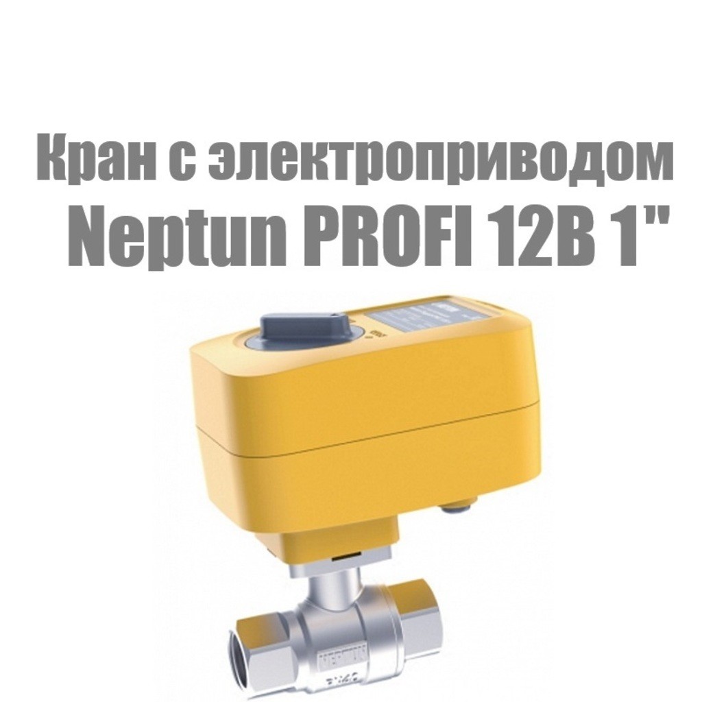 Кран с электроприводом Neptun Profi 12В 1"